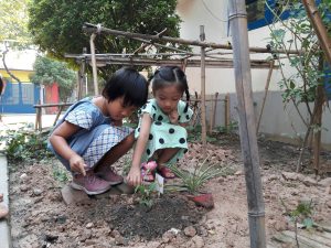 Câu chuyện về lòng trắc ẩn: Câu chuyện chú chim sâu