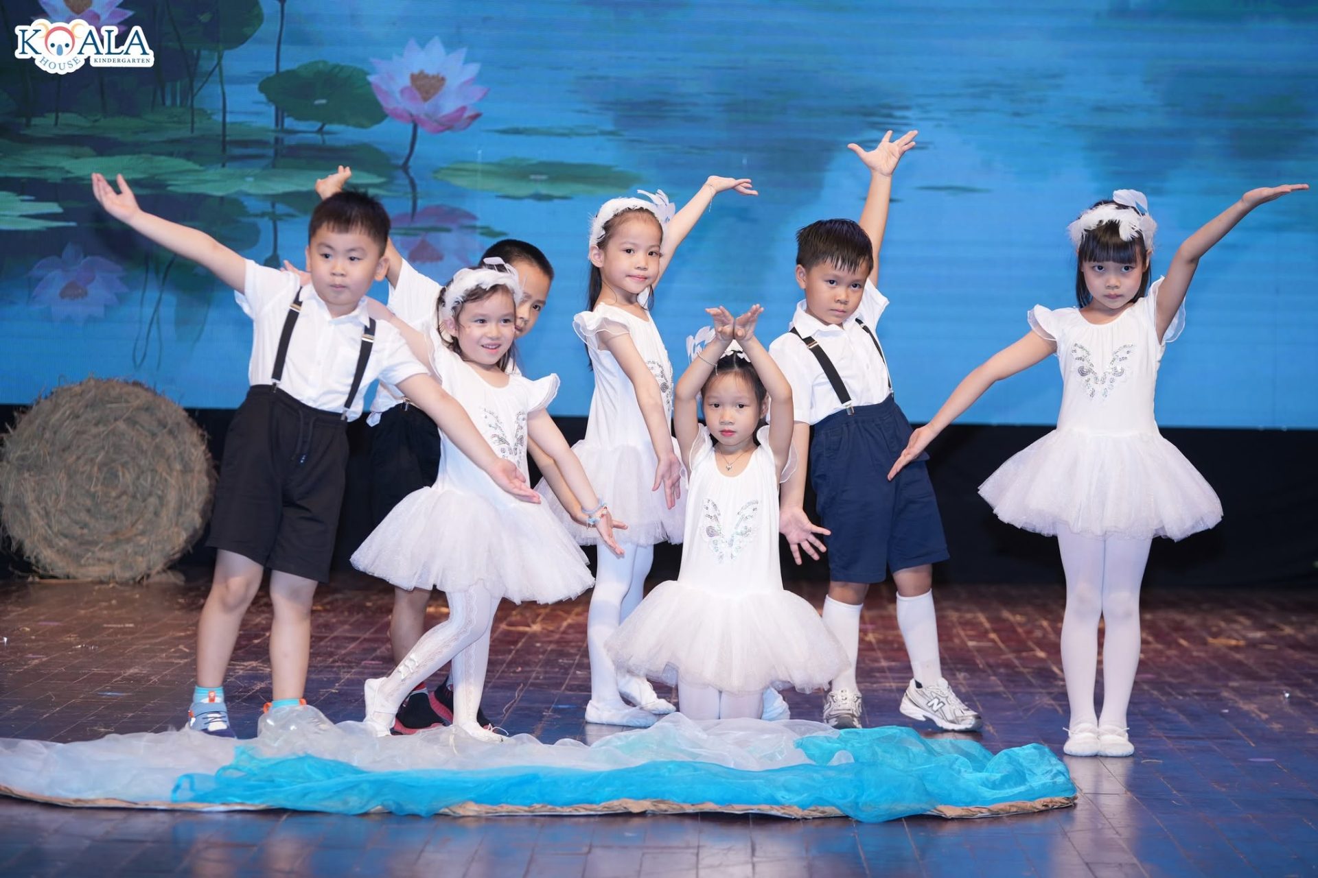 Nhạc hội & biểu diễn